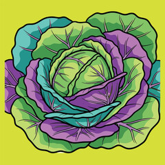 Vibrant Cabbage Vegetable Illustration with Purple Green and Teal Leaves