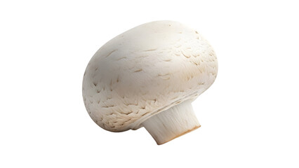 mushroom isolated on white background