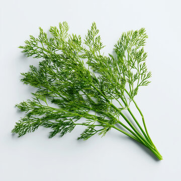 fresh dil dil bunch, vibrant green leaves, soft gray and white tones, natural texture, suitable for culinary websites, recipe books, health blogs, and organic product promotions