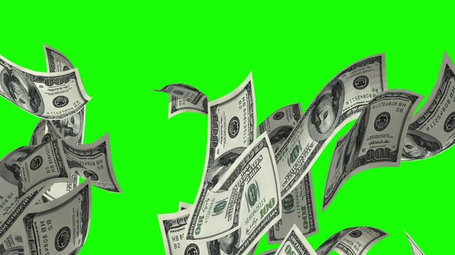 Numerous 100 US dollar bills raining down at a moderate speed on a bright green screen background. Perfect for general concepts of money, wealth, and financial reward.