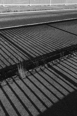 Long shadows of metal railings on the road
