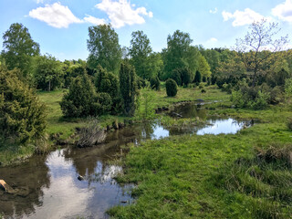 Obraz premium Small winding stream flowing through green meadow with bushes and trees
