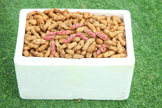 Raw Peanuts in Shells with Red Coated Nuts in White Container on Grass