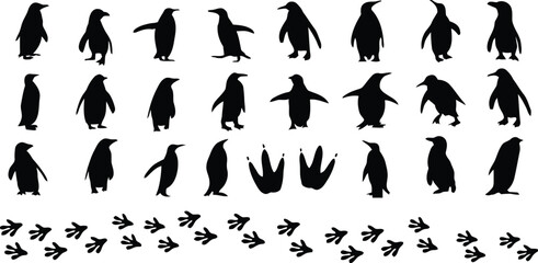 penguin, silhouette, animal, bird, wildlife, footprint, track, walking, standing, profile, group, collection, set, black, white, background, isolated, illustration, graphic, design, nature, Antarctic,
