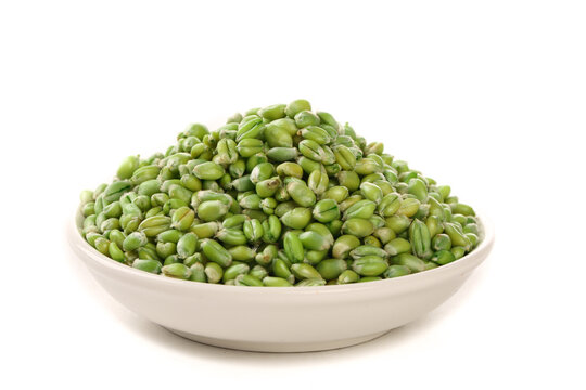 Fresh Green Mung Beans in Bowl - Healthy Organic Legumes from Henan Farm Agriculture