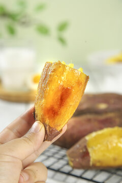 Golden Roasted Sweet Potato Slice Japanese Yao Imo Style with Honey Texture