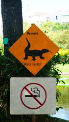 태국의 공원에 설치된 도마뱀 주의 표지판