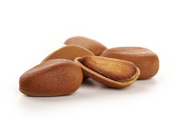 Pine Nuts with Red Shells - Large Northeast Variety Pictures