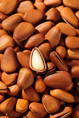 Large Pine Nuts with Red Brown Shells Cracked Open Showing White Kernels Northeastern Variety Close Up