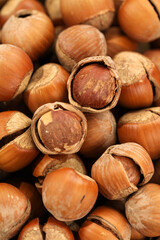 Fresh Hazelnuts with Shells and Kernels - Natural Organic Nuts Close-up Photography