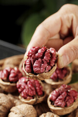 Fresh Red-Skinned Xinjiang Walnuts in Hand - Premium Quality Nuts with Natural Shell