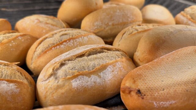 Closeup of golden brown freshly baked Kaiser rolls arranged in a bakery display, evoking artisan baking and simple, wholesome food