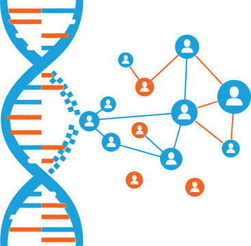 DNA double helix connected to a network of human profiles showing genetic ancestry and genealogy research for medical science and social family tree connection.
