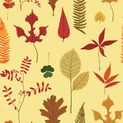 Autumn leaves vector illustration, pattern