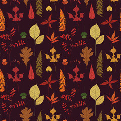 Autumn leaves vector illustration, pattern