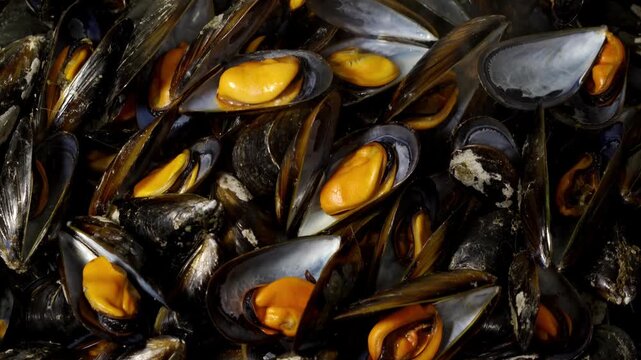 freshly cooked mussels steaming from galician coast in Spain , 4k seafood video footage