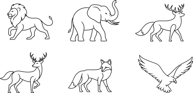 A big bundle Outline wild safari animals vector illustration of coloring page for kids and wild animals from tropical jungle, tiger macaque camel elephant bird lion deer wolf fish etc.