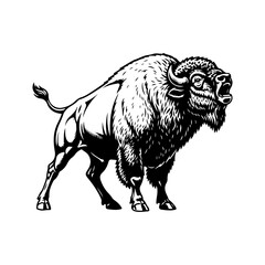 Obraz premium A silhouette of roaring buffalo