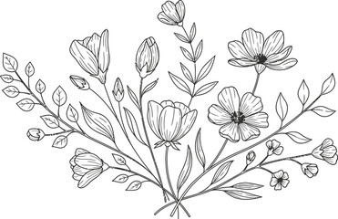 Hand draw Floral Botany Collection for coloring page outline. Elegant Flower Coloring Page – Botanical Sketch Artwork floral design elements for invitation, wedding, wallpaper, print template, vector 