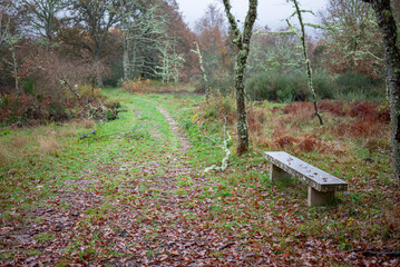 Lonely Granite Bench in Tourem The Concept of History