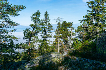 View from Bygdeborgen Borgen of the Totenåsen Hills, Norway, a day in fall.