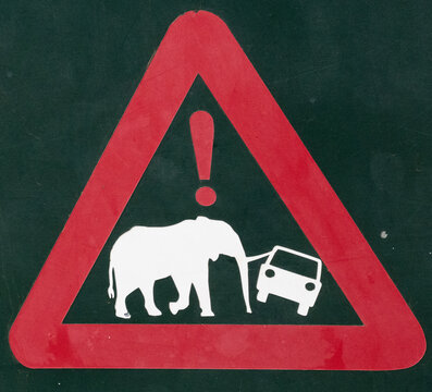 Elefant