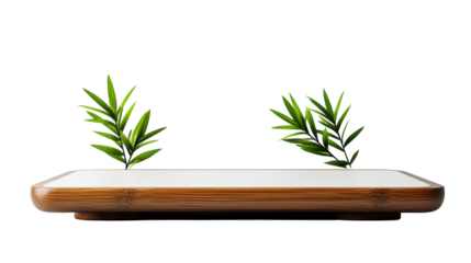 Elegant podium with green leaves on transparent background