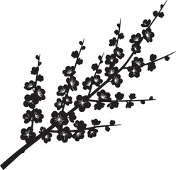 Black and white silhouette of a flowering cherry blossom branch