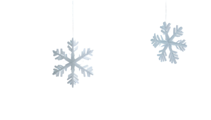 Two ornate, shimmering snowflakes hang suspended against a deep black background