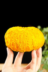 Fresh Golden Pumpkin from Shaanxi Province Held in Hand - Autumn Harvest Produce