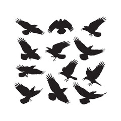 Crow Silhouettes Collection,Crows Silhouettes,Vector Crow Silhouettes,Black Crow Silhouettes,crow vector