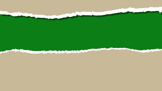 animated torn paper transition