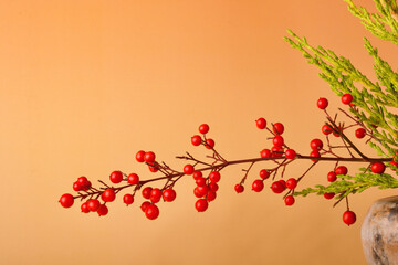 vector illustration of an autumn background