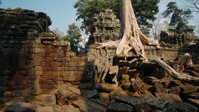 Ancient ruins of ta prohm temple in cambodia. The roots of a giant banyan tree are entwined with the old khmer architecture. Cambodia, Siem Reap. Archeology concept.
