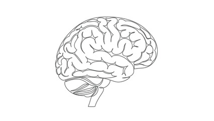 Human brain continuous one line drawing. Vector illustration of neurological anatomy, intelligence, and thinking concept on white background.