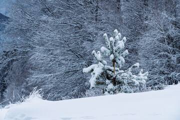 Widoczki zimowe z Równicy koło Ustronia
