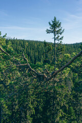 View from Bygdeborgen Borgen of the Toten&aring;sen Hills, Norway, a day in fall.