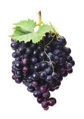 Bunch of grapes isolated on white background