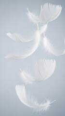 Obraz premium White feather floating in the air. Soft swan feather falling with grace against a pale background. Light and delicate concept for peace and tranquility.