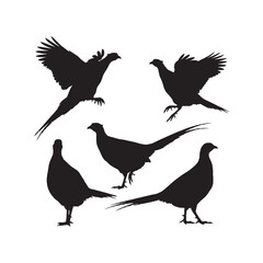 Pheasants Silhouettes Collection,Pheasants Silhouettes,Vector Pheasant Silhouettes,Wild Pheasant Silhouettes,pheasant vector