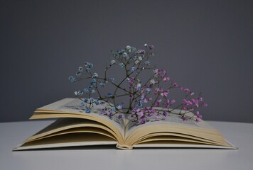 Book with flowers 