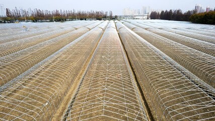 Wuhan Greenhouse Vegetable District Aerial Photo, China