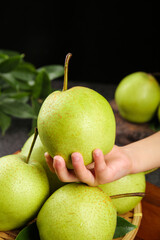 Fresh Green Pears in Hand - Crisp Garden Fruit