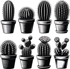 Eight desert potted cactus collection in vintage engraved style
