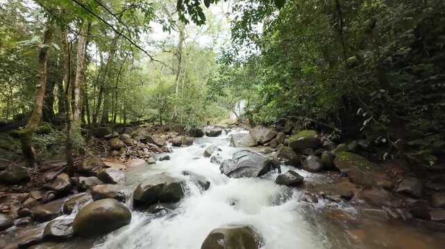 Cascada en Parque Nacional Chepo