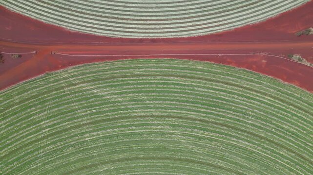 Flying over circular fields in the Australian outback