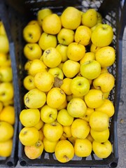 Golden Apples in the market