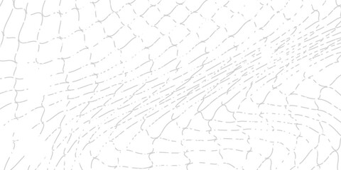 equipment like soccer goals, volleyball nets, basketball hoops, hockey nets, and athletic gear, modern, vector,