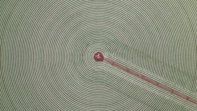 Turning clockwise over a circular field