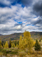 Sunny Autumn Carpathians with Puffy White Clouds